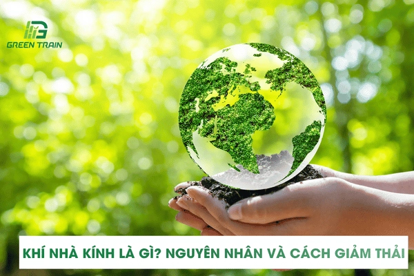 Khí Nhà Kính Là Gì? Nguyên Nhân Và Cách Giảm Thải