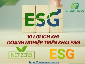 10 Lợi Ích Khi Doanh Nghiệp Triển Khai ESG