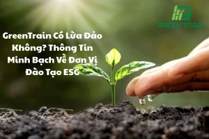 green-train-1
