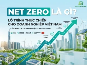 Net Zero là gì