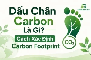 Dấu chân carbon là gì?
