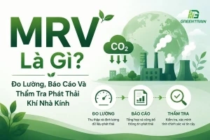 MRV là gì?