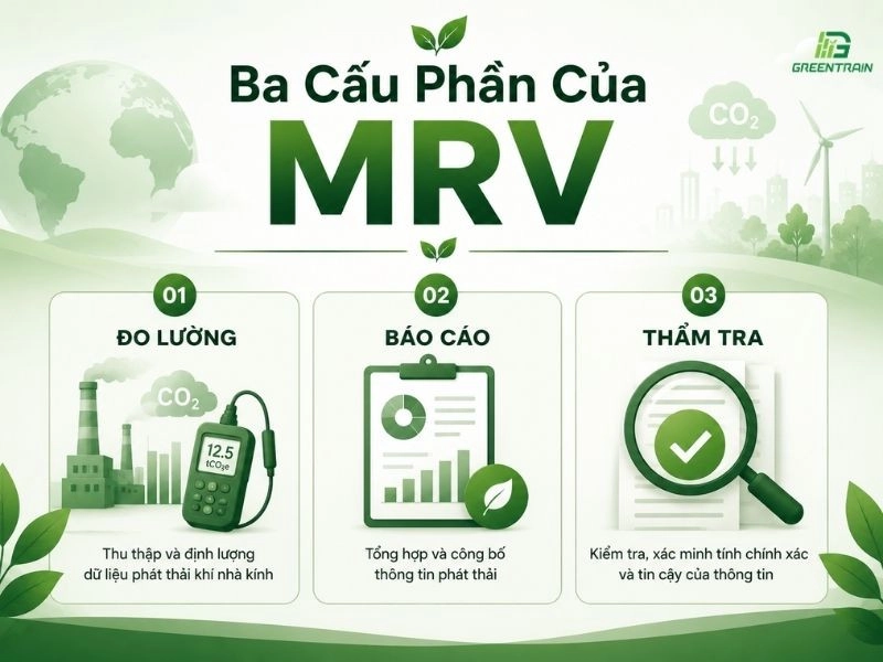 3 cấu phần của MRV